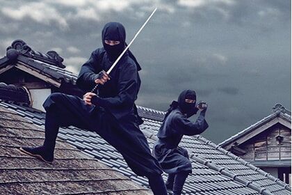 Nikko & Ninja Tour