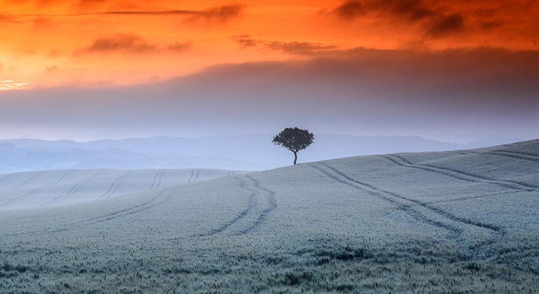 Unique experiences in Val d'Orcia